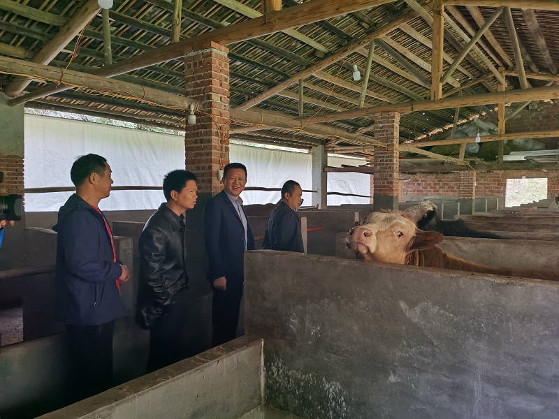 微信圖片_20200326161151.jpg 微信圖片_20200326161151.jpg